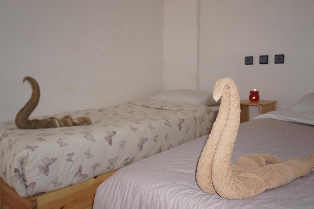 Hostel The Endless House Anchor Point Taghazout Exteriör bild